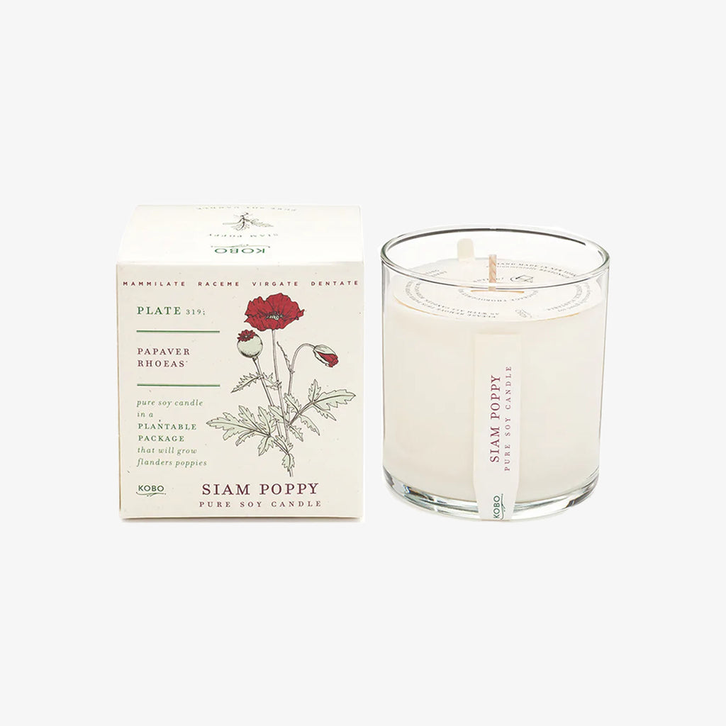 Kobo candle siam poppy candle and box on a white background