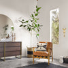 Room with large plant and dresser with white walls and Four hands brand Silas arm chair with wood frame and patina copper leather cushions 