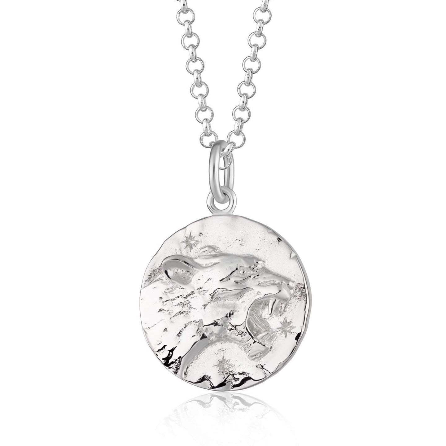 Scream Pretty brand silver Leo zodiac star sign necklaces on a white background
