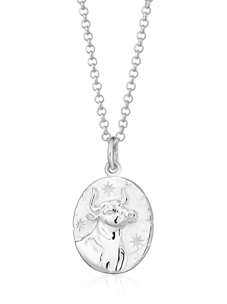 Scream Pretty brand silver Taurus zodiac star sign necklaces on a white background