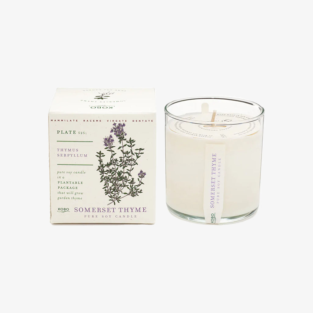 Kobo candle somerset thyme candle and box on a white background