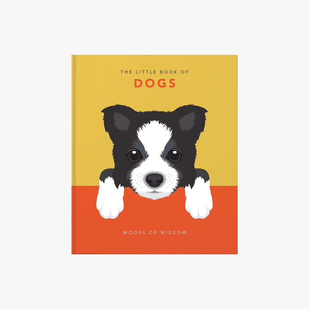 Orange and yellow Front cover of 'the little book of dogs'  with illustration of cute black and white dog on a white background