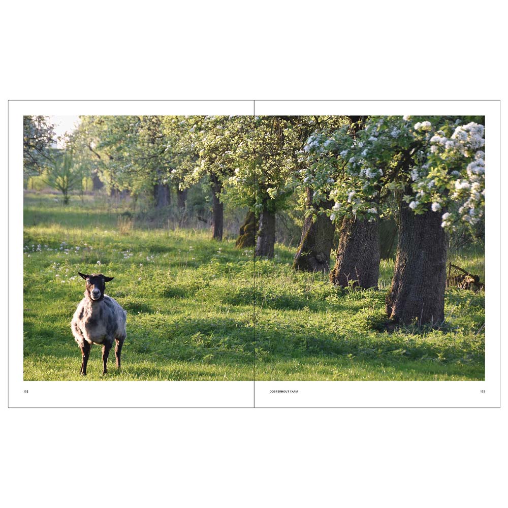 Interior pages of book titled 'The New Farm' on a white background