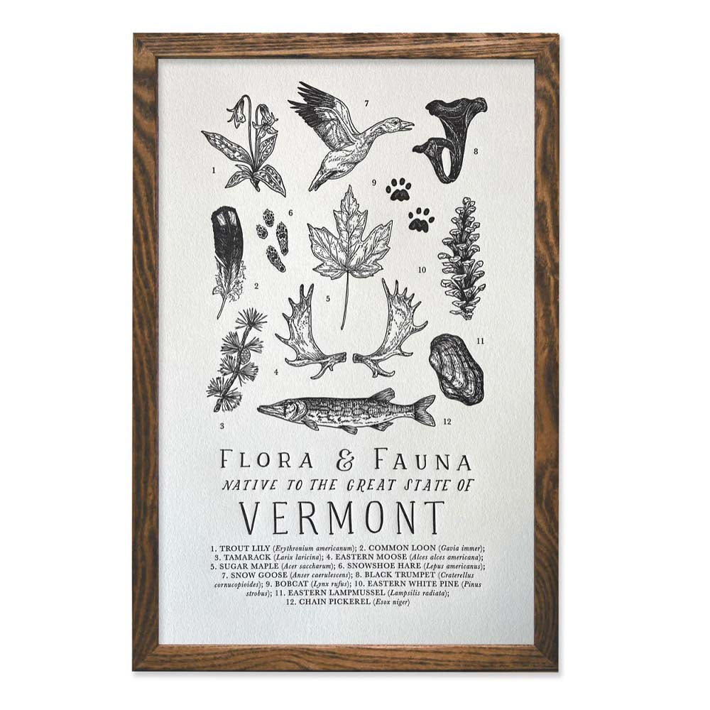 Print called Flora and Fauna native to the great state of Vermont in a wood frame on a white background